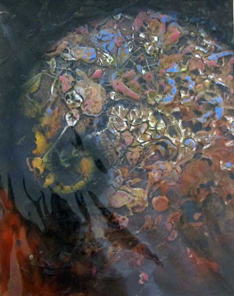 On The Edge, Ammonite on Black 10,   Jo Sheppard ,    Contemporary Affordable Art