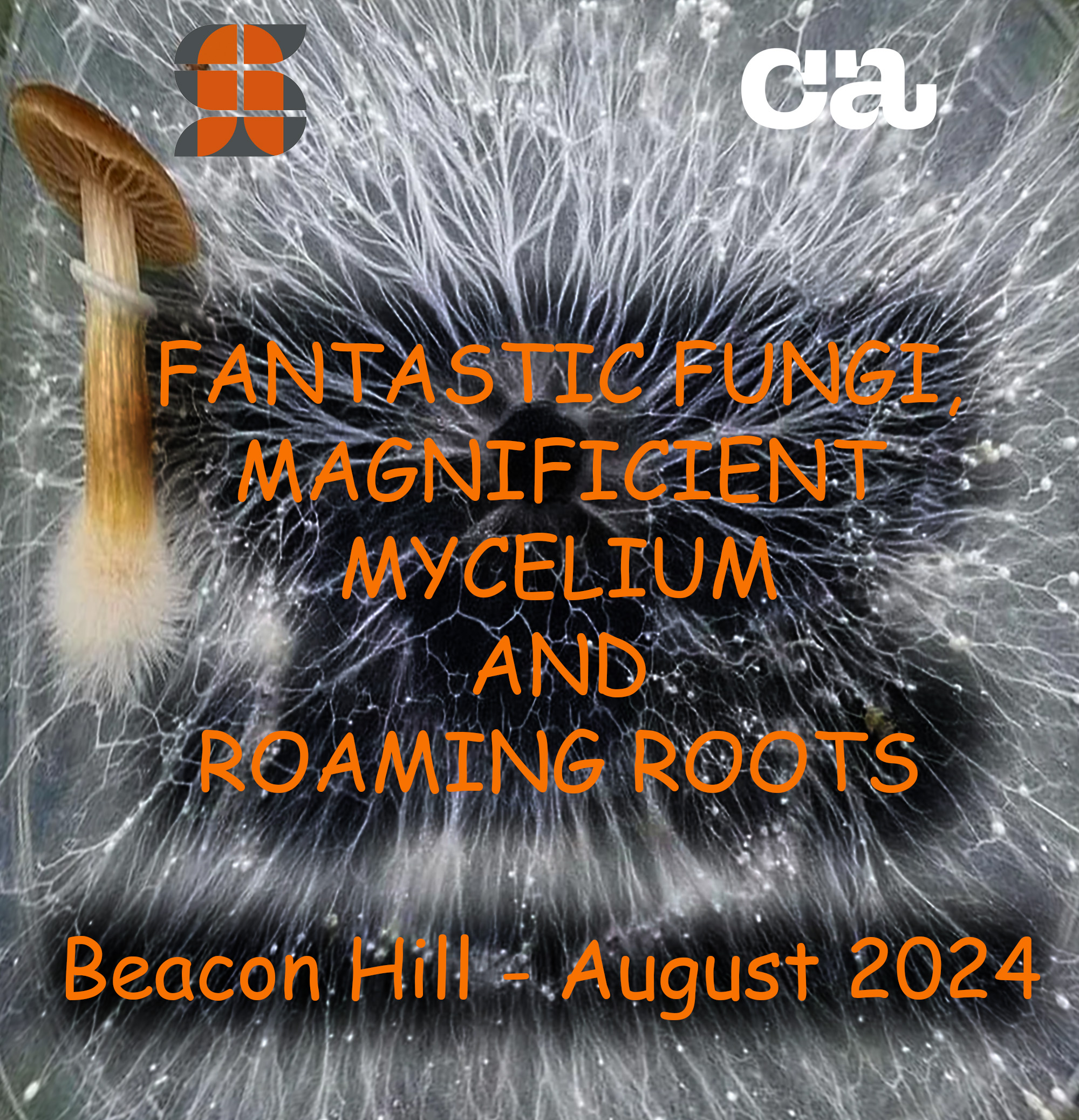 fantastic fungi, magnificent mycelium and roaming roots!