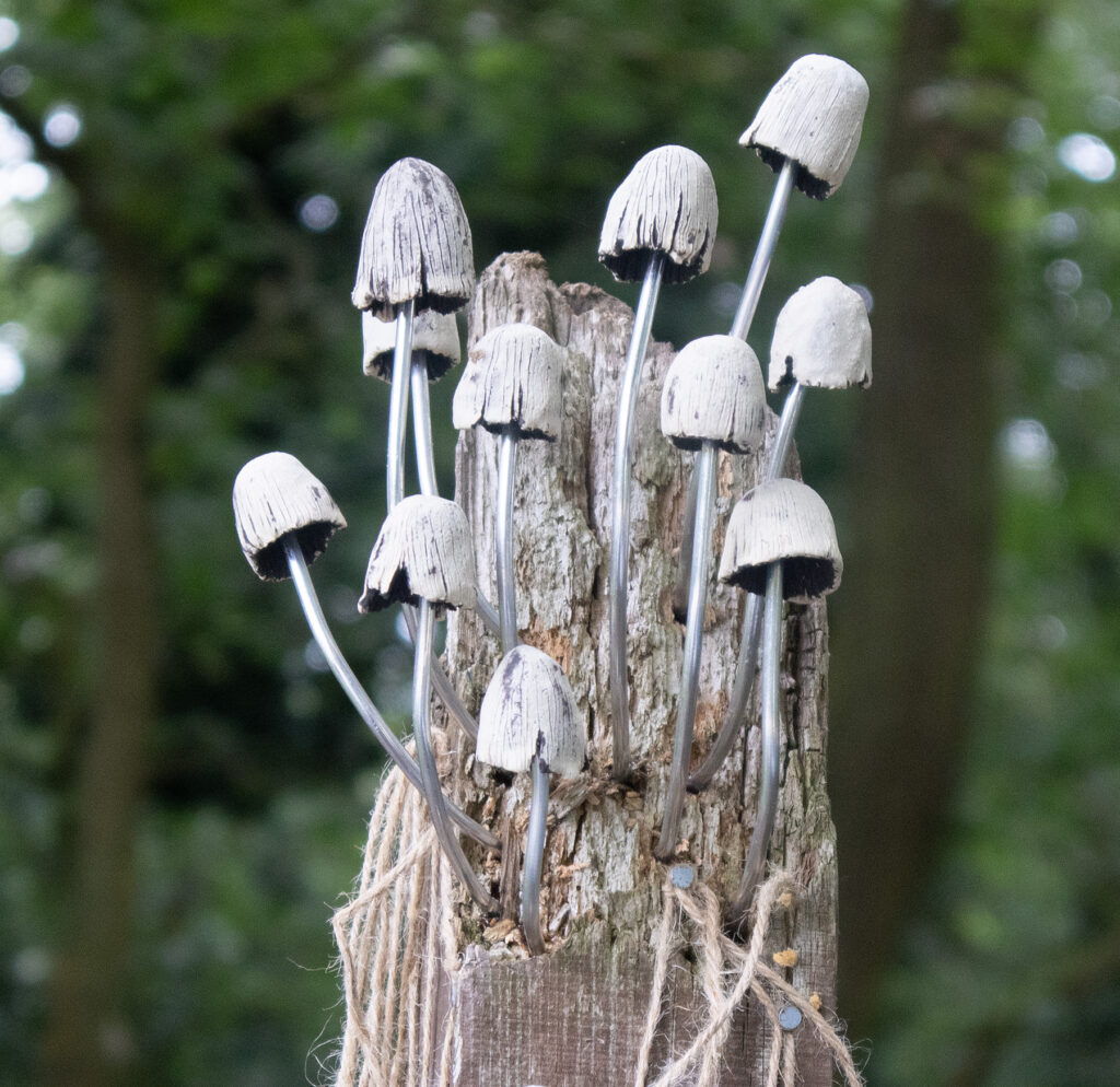 Ceramic Fungi by Lisa Denham