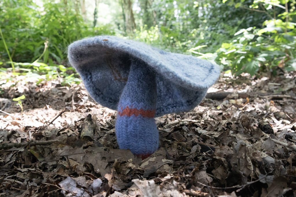 Felted fungi by Susan West